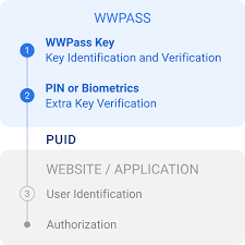 Understanding Electronic Identity Security and Accessibility
