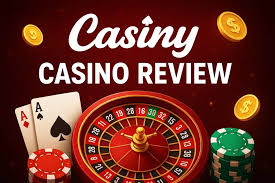 Unlock Exclusive Benefits with the Casiny VIP Program 29 Unlock Exclusive Benefits with the Casiny VIP Program 29