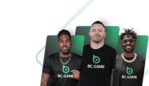 Understanding the Features and Benefits of BCGame im